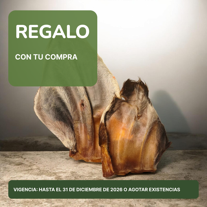Regalos por compra en Kaffy