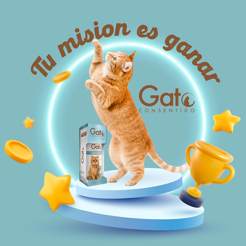 Tu misión es ganar - Gato Consentido