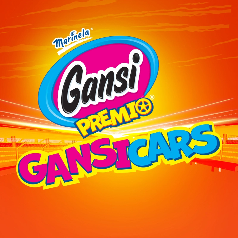 Experiencia GansiCars