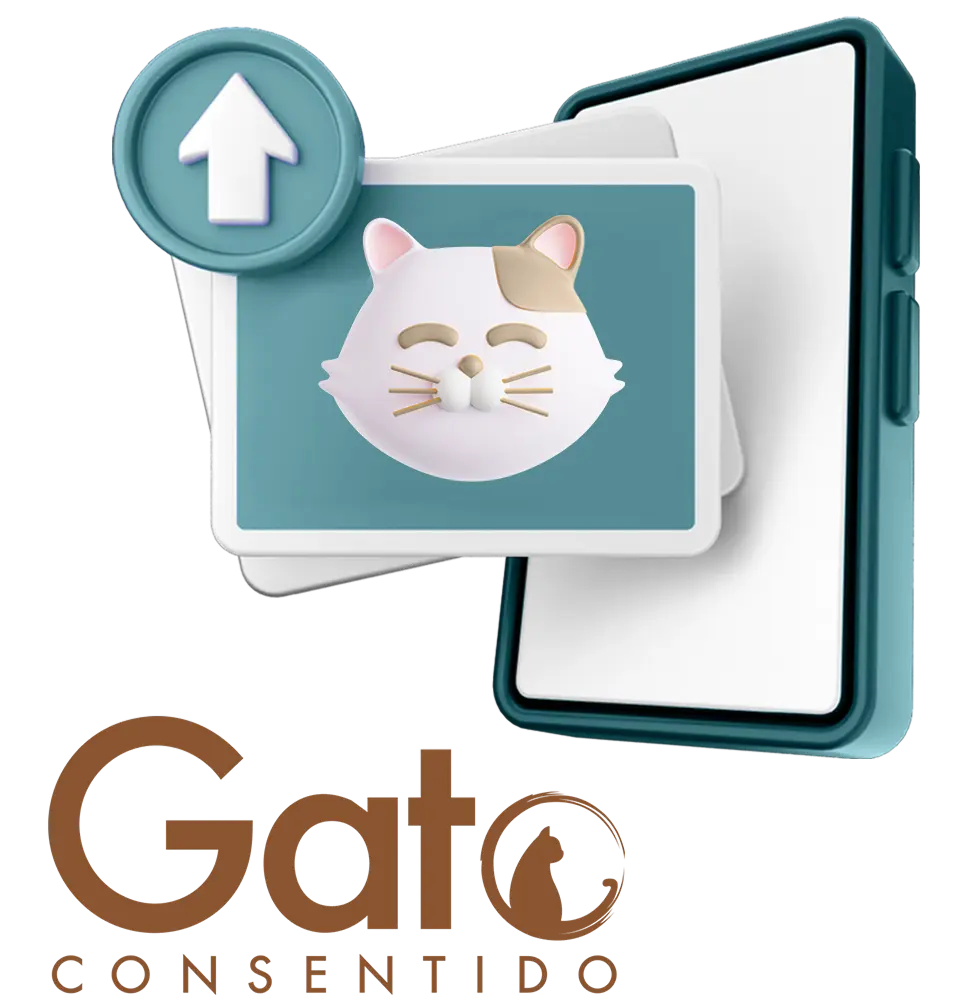 Sube una foto consintiendo a tu gatito
